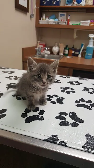 Norfolk Veterinary Clinic Picture 5