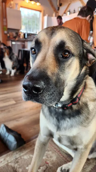 Norfolk Veterinary Clinic Picture 4