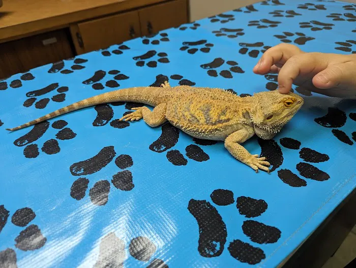 Norfolk Veterinary Clinic Picture 3