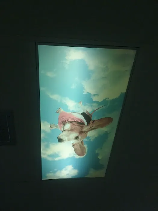 Norfolk Veterinary Clinic Picture 8