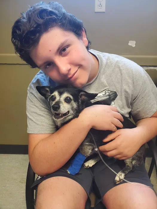 Companion Animal Vet Clinic Picture 10