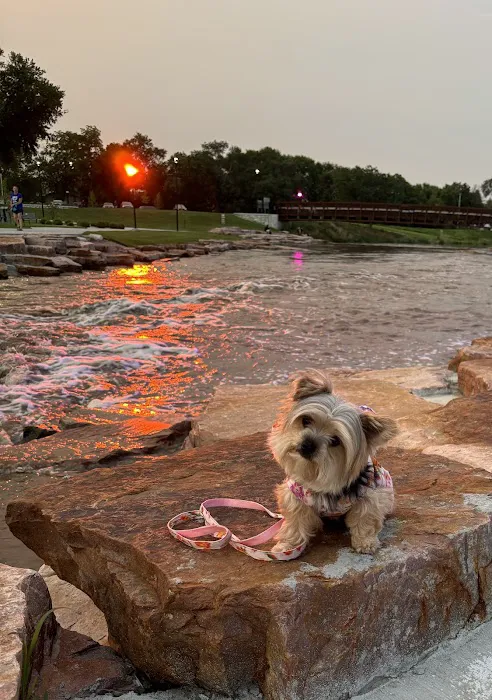 Companion Animal Vet Clinic Picture 8