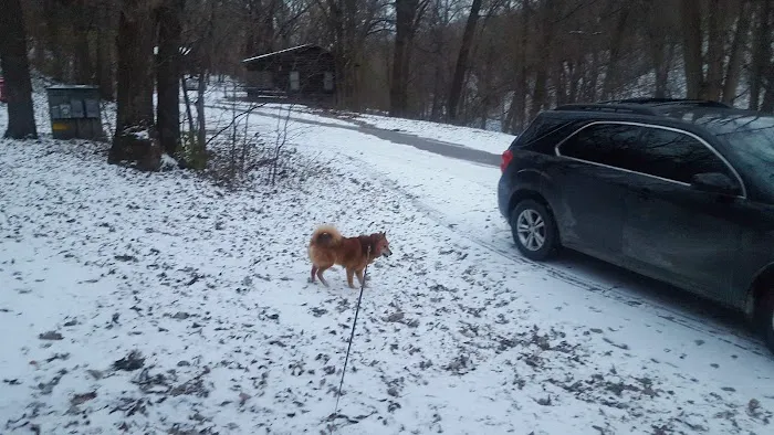 Companion Animal Vet Clinic Picture 3