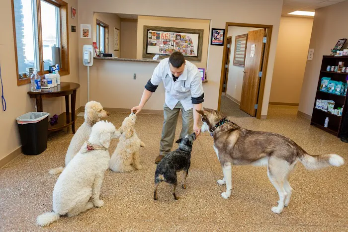 Westside Family Pet Clinic Picture 10