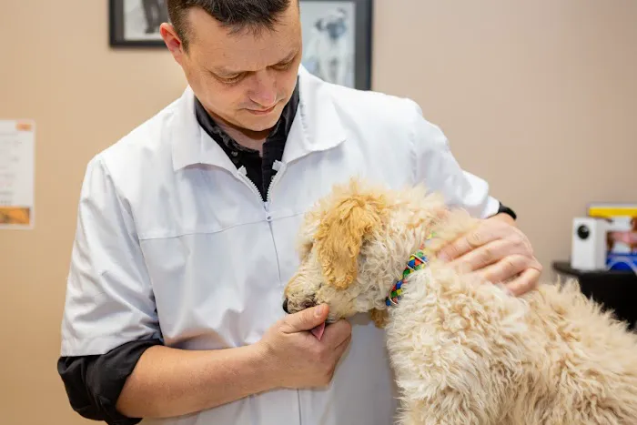 Westside Family Pet Clinic Picture 7