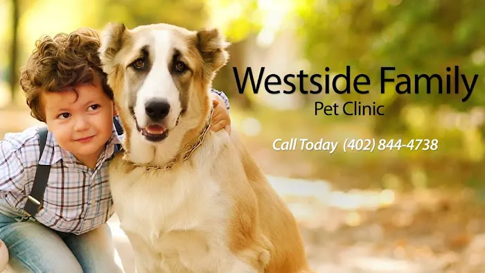 Westside Family Pet Clinic Picture 1