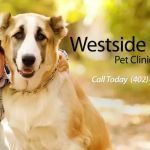 Westside Family Pet Clinic
