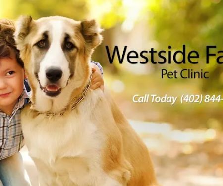 Westside Family Pet Clinic