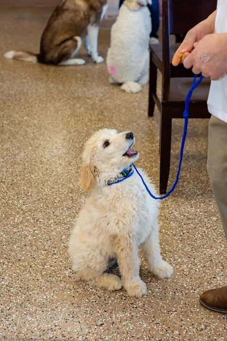Westside Family Pet Clinic Picture 6