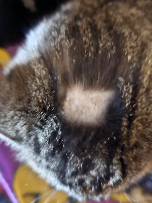 Madison County Veterinary Clinic Picture 1