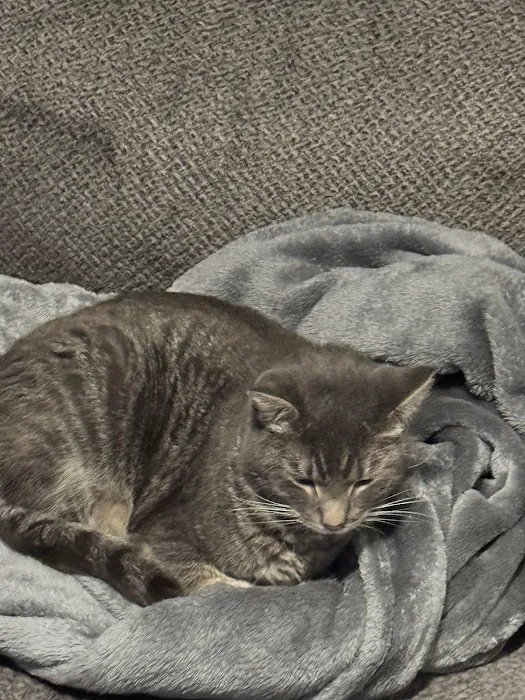 Madison County Veterinary Clinic Picture 5