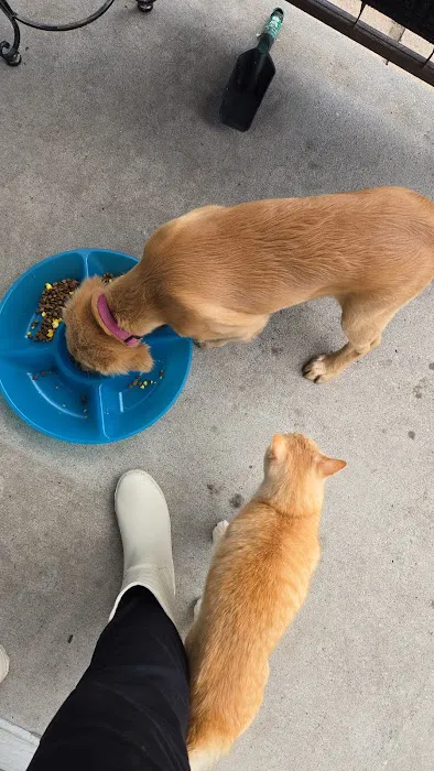 Madison County Veterinary Clinic Picture 4