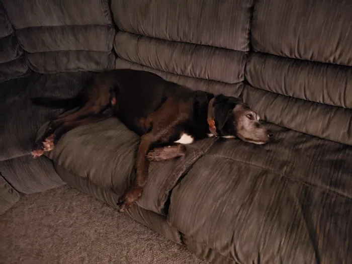 Madison County Veterinary Clinic Picture 7