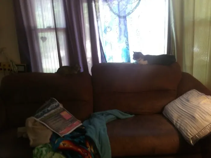 Heartland Veterinary Clinic Picture 3