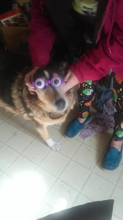 Heartland Veterinary Clinic Picture 1