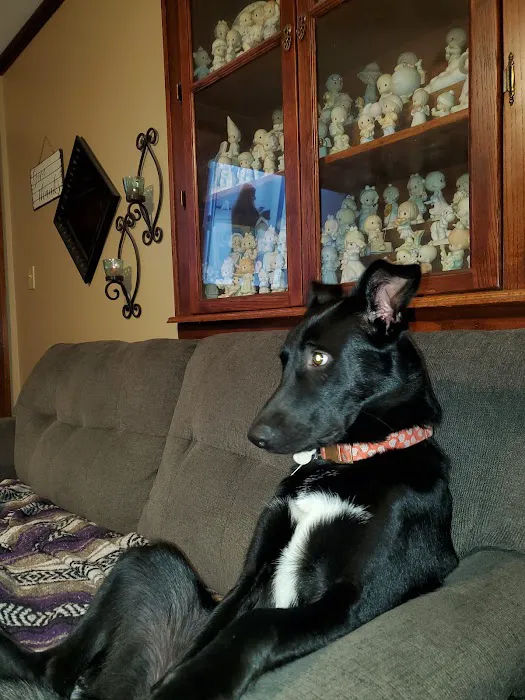 Heartland Veterinary Clinic Picture 2