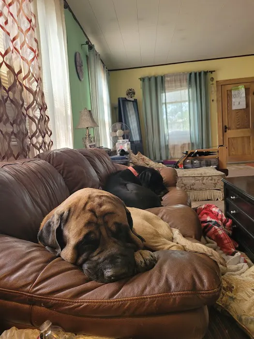 Lewis and Clark Veterinary Clinic Picture 2