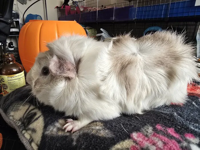 Lewis and Clark Veterinary Clinic Picture 1