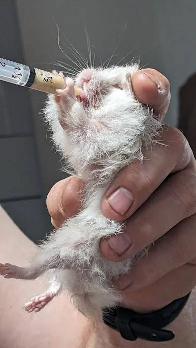 Lewis and Clark Veterinary Clinic Picture 7