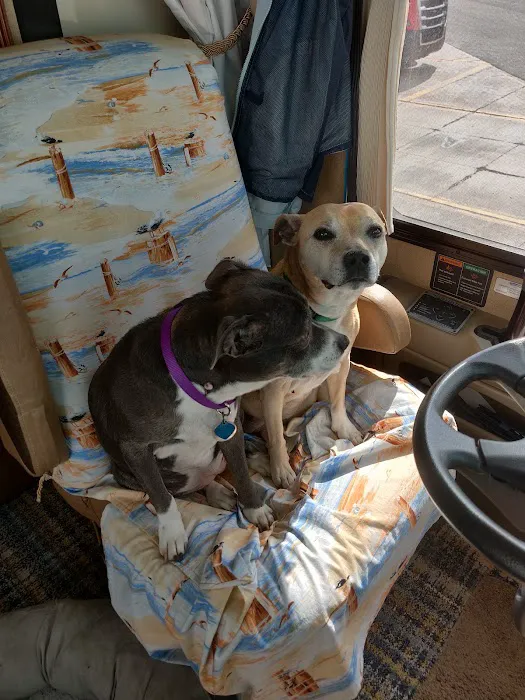 Lewis and Clark Veterinary Clinic Picture 8