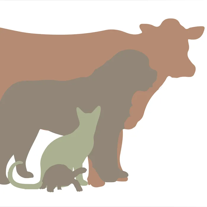 Lewis and Clark Veterinary Clinic Picture 10