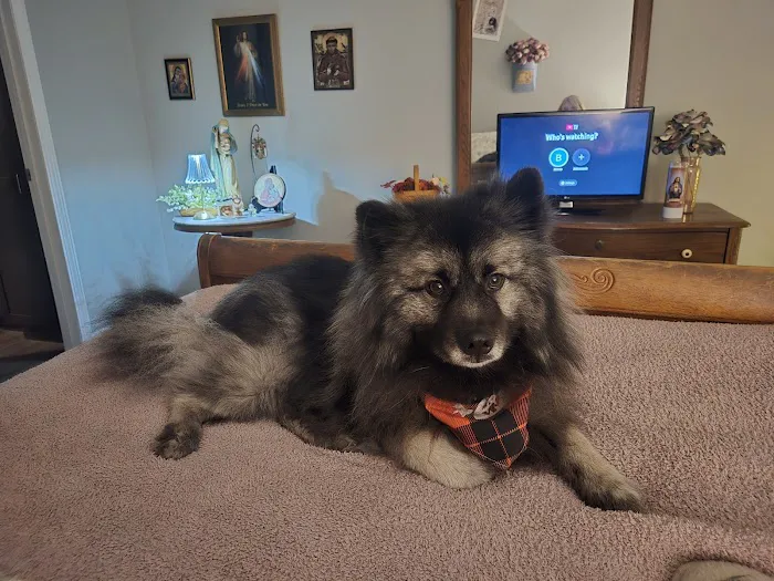 Animal Health Clinic Picture 1