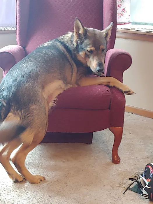 Animal Health Clinic Picture 2