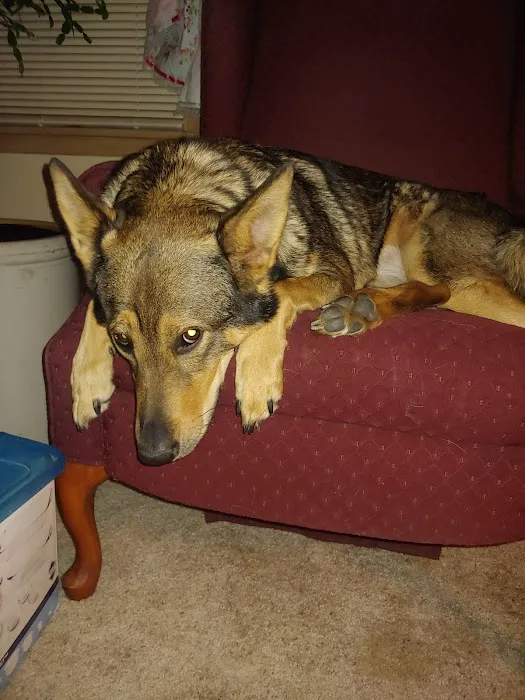 Animal Health Clinic Picture 6