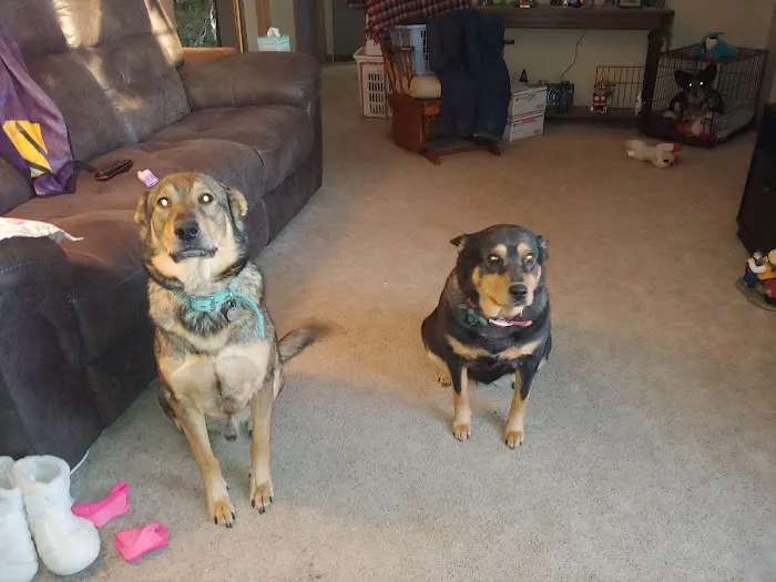 Animal Health Clinic Picture 7