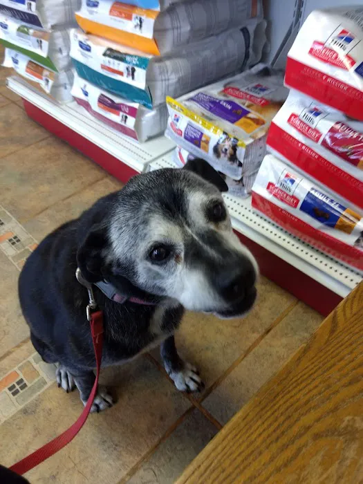 Animal Health Clinic Picture 10