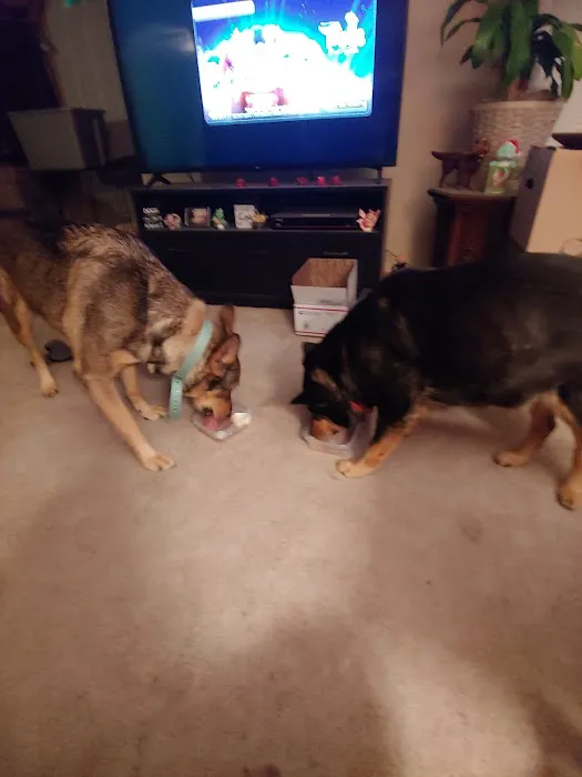 Animal Health Clinic Picture 9