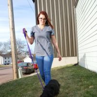 Veterinary Medical Clinic ico