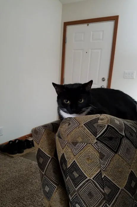 Veterinary Medical Clinic Picture 5