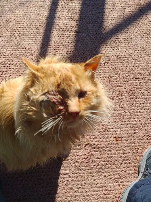 Tyndall Veterinary Clinic Picture 3