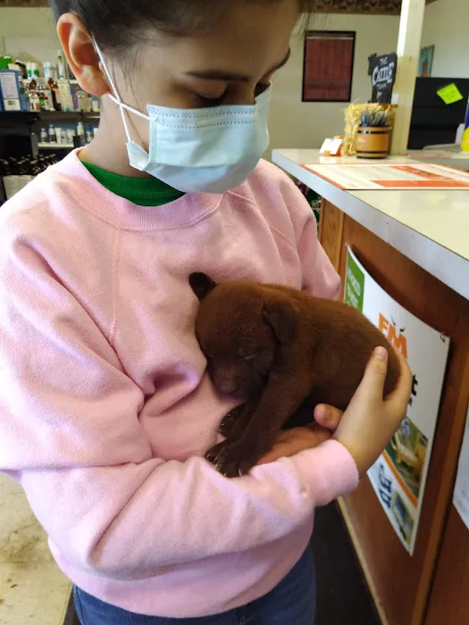 Northwest Veterinary & Supply Picture 3