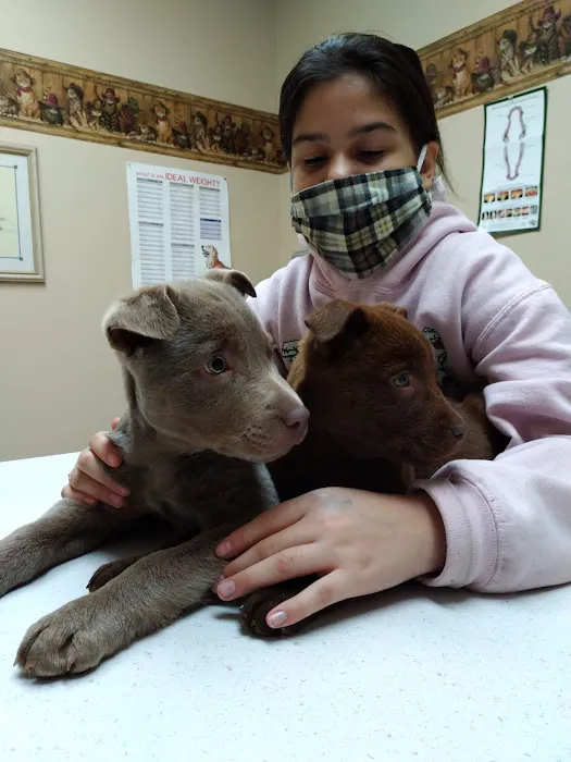 Northwest Veterinary & Supply Picture 1