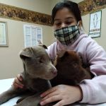 Northwest Veterinary & Supply