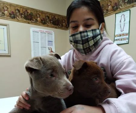 Northwest Veterinary & Supply