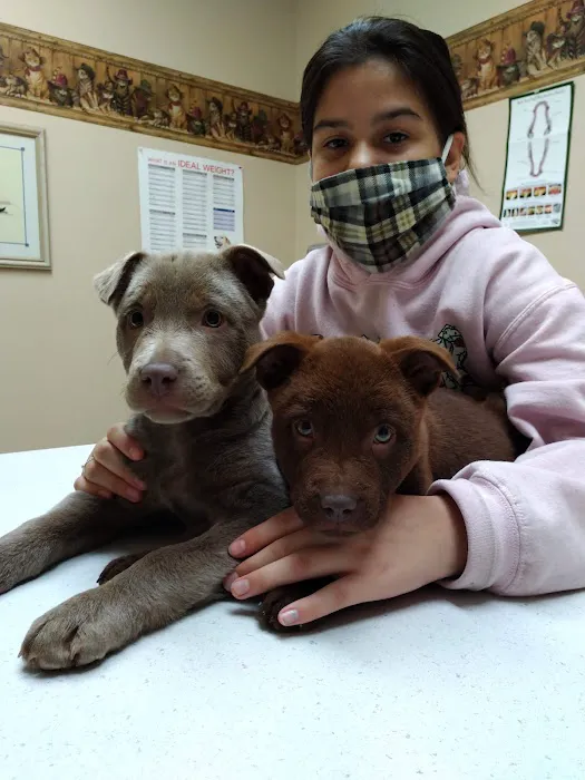 Northwest Veterinary & Supply Picture 4