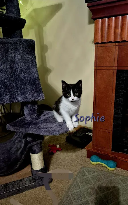 Artesian Veterinary Clinic, Inc. Picture 1