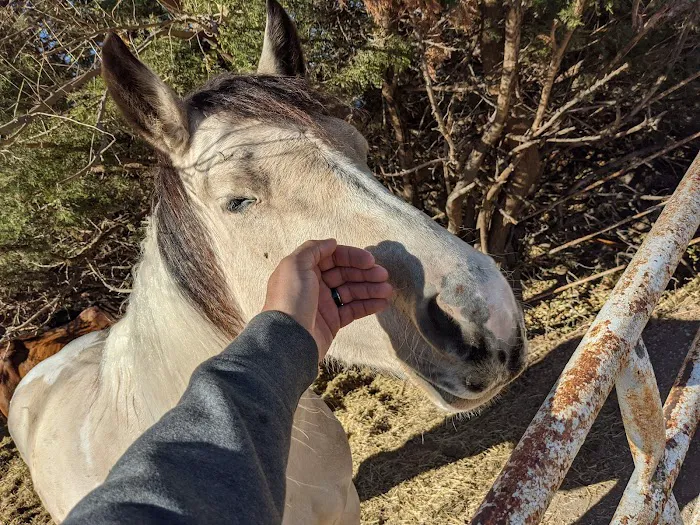 Pickrell Veterinary Clinic Picture 4