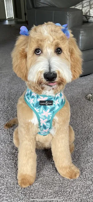 Pickrell Veterinary Clinic Picture 5