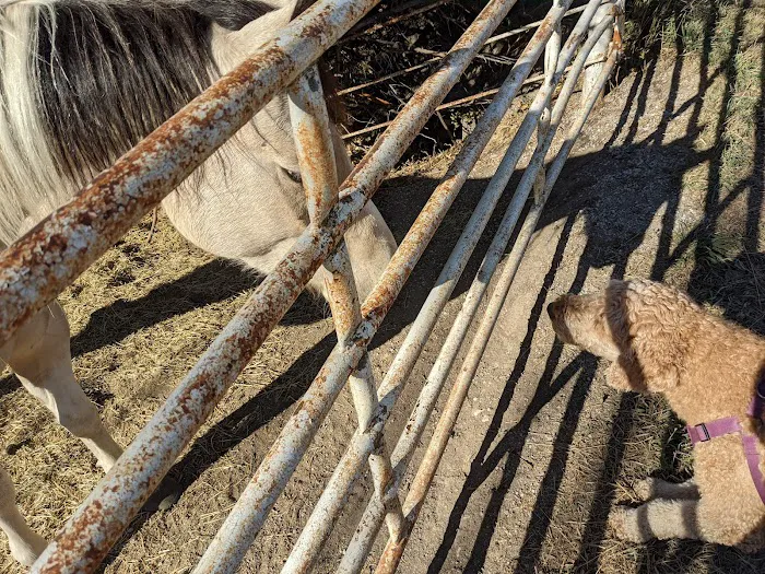 Pickrell Veterinary Clinic Picture 6