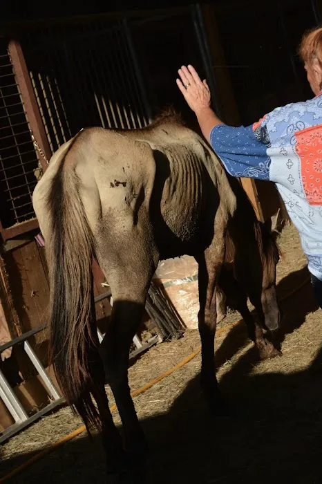 Pickrell Veterinary Clinic Picture 7