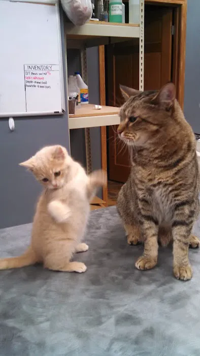 Woodland Animal Hospital Picture 6