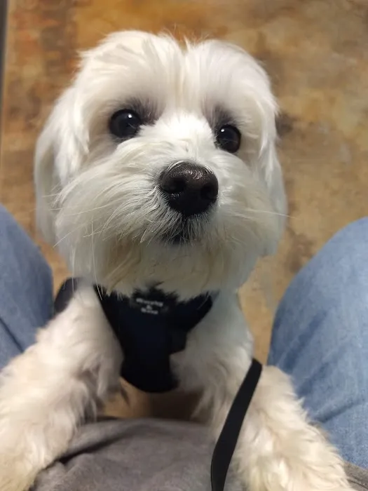 Woodland Animal Hospital Picture 1