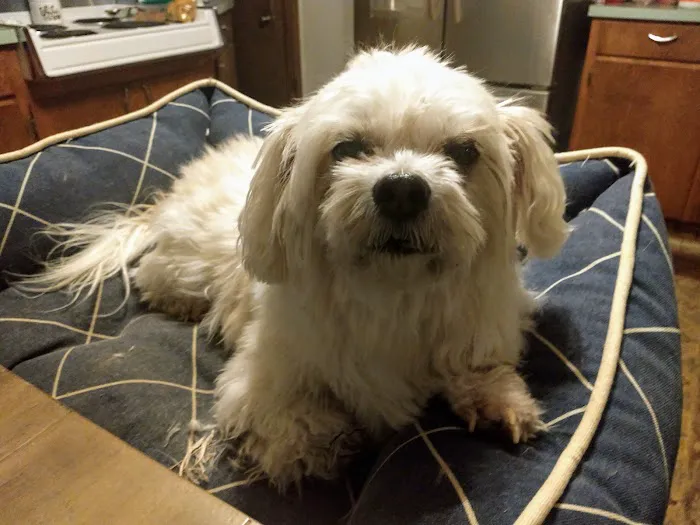 Woodland Animal Hospital Picture 2