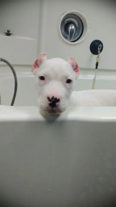 Woodland Animal Hospital Picture 9