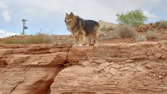 Beatrice Animal Hospital Picture 2