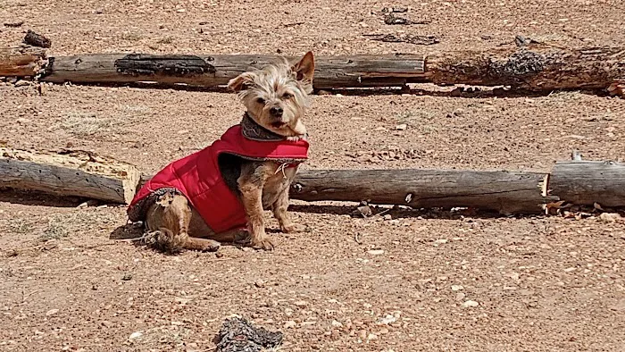 Beatrice Animal Hospital Picture 1